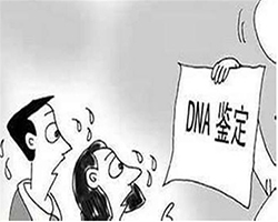 黄石人民医院能做DNA亲子鉴定吗，黄石医院做DNA亲子鉴定需要的材料